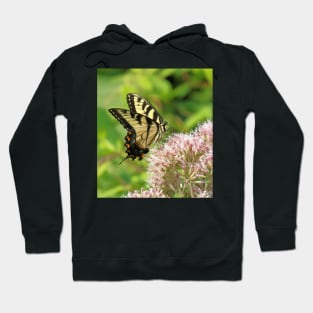 Butterfly on pink purple flowers Hoodie